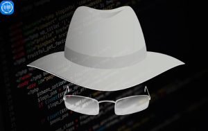 بالاترین پاداش قرن رمزنگاری  به  هکر کلاه سفید