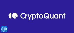 آشنایی با CryptoQuant| بزرگترین پایگاه تحلیل آنچین