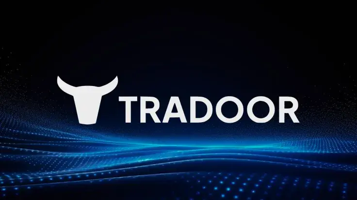 ارز دیجیتال تریدور (Tradoor) چیست؟