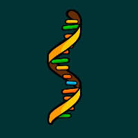 ارز دیجیتال آر ان ای (RNA) چیست؟