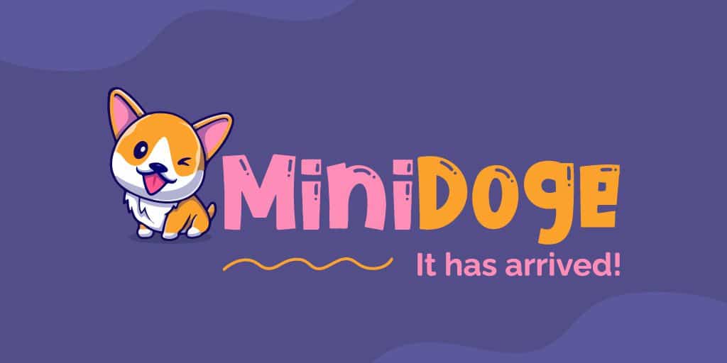 ارز دیجیتال مینی دوج (MiniDOGE) چیست؟