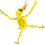 داکی